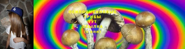 молекула духа Слюдянка