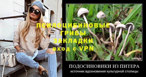 экстази Абаза