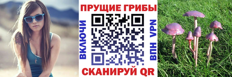 Галлюциногенные грибы мицелий где купить наркотик Дятьково