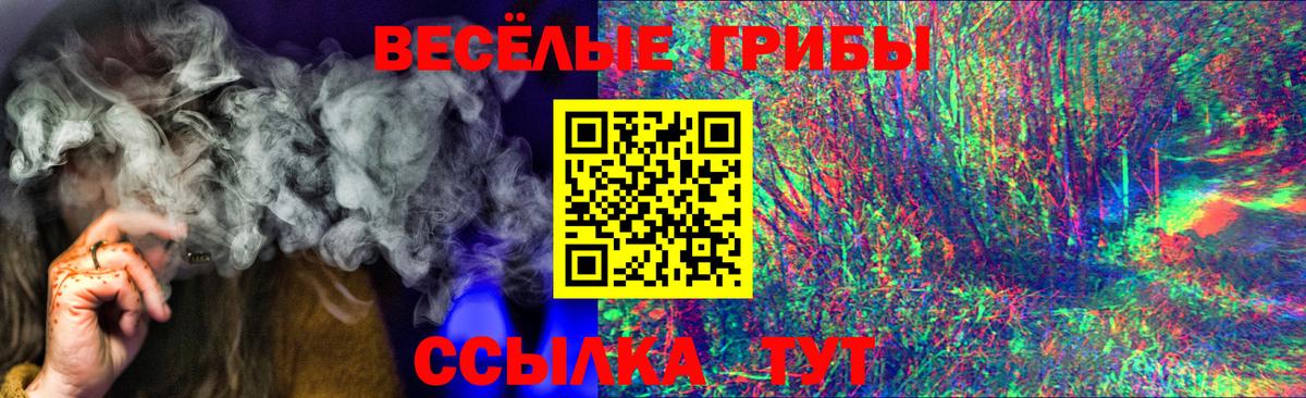 Галлюциногенные грибы MAGIC MUSHROOMS Дятьково
