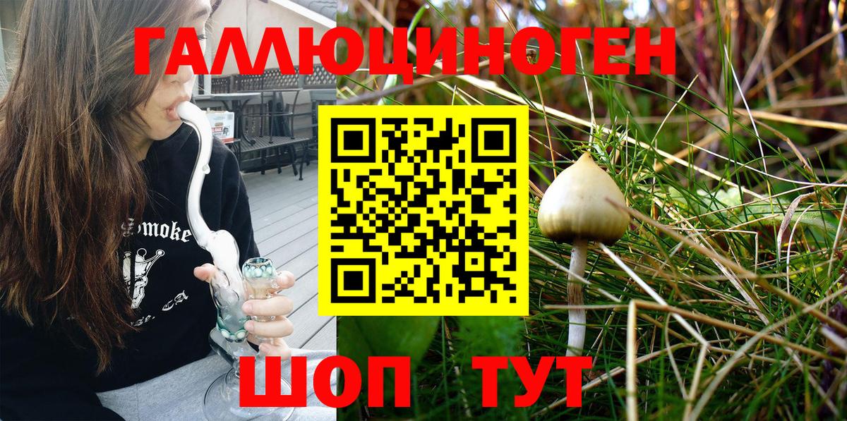 Галлюциногенные грибы Magic Shrooms  продажа наркотиков  Дятьково  Вход с VPN 